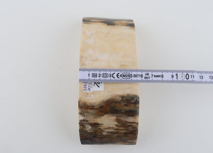 Natural mammoth tusk piece