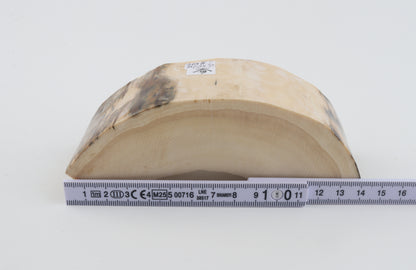 Natural mammoth tusk piece