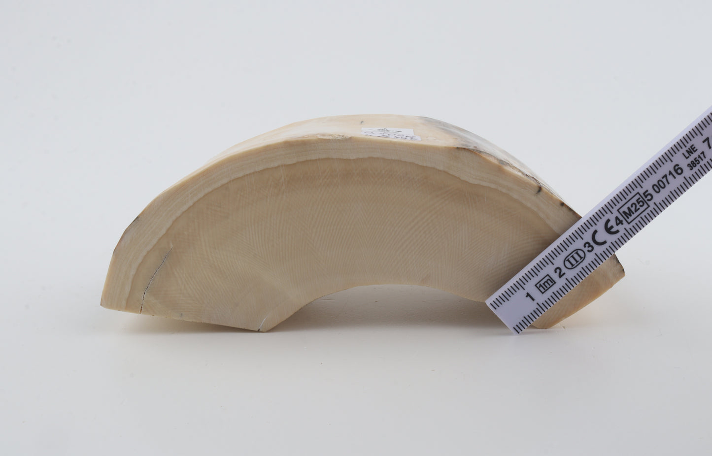 Natural mammoth tusk piece