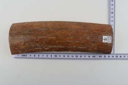 Caramel mammoth bark