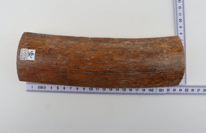 Caramel mammoth bark