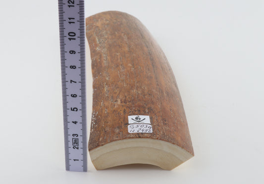 Caramel mammoth bark