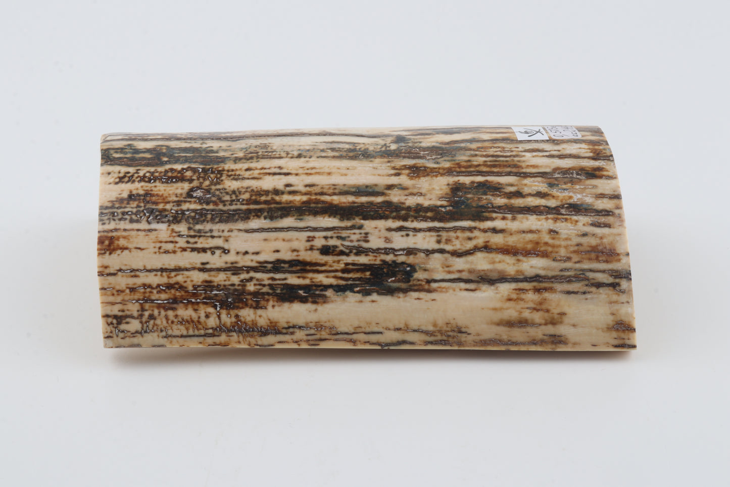 Natural woolly mammoth bark