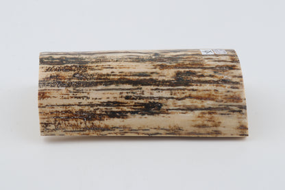 Natural woolly mammoth bark
