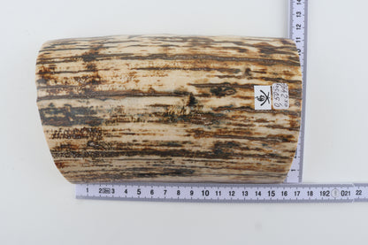 Natural woolly mammoth bark
