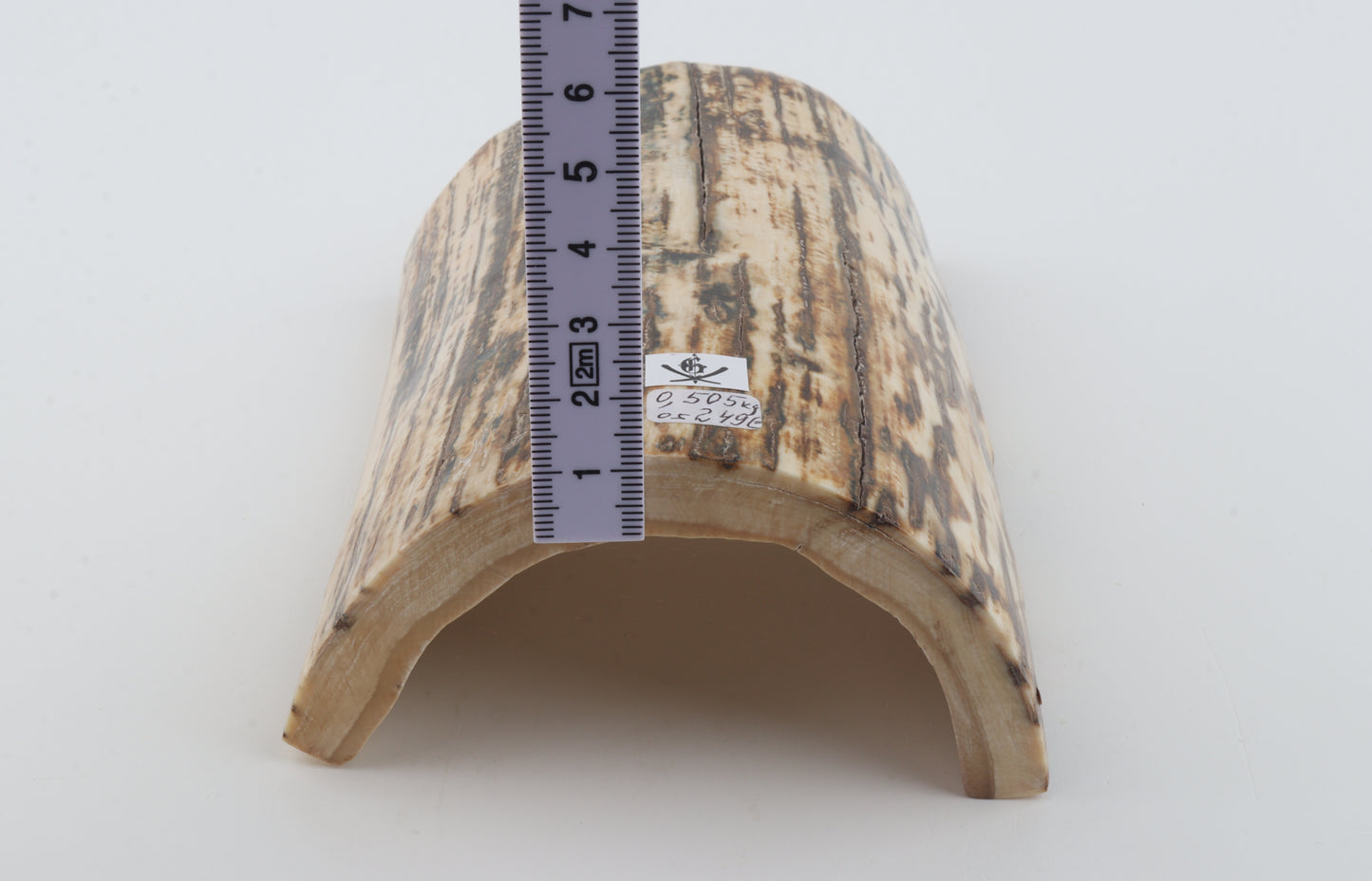 Natural woolly mammoth bark