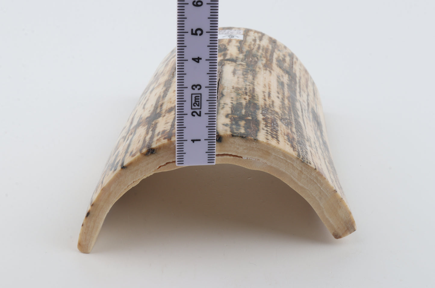 Natural woolly mammoth bark