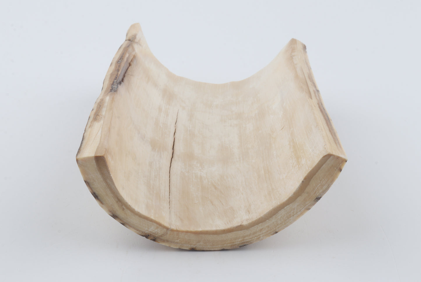 Natural woolly mammoth bark