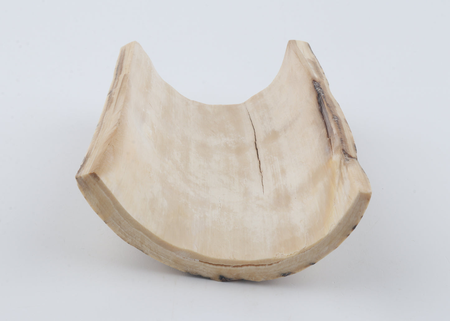 Natural woolly mammoth bark