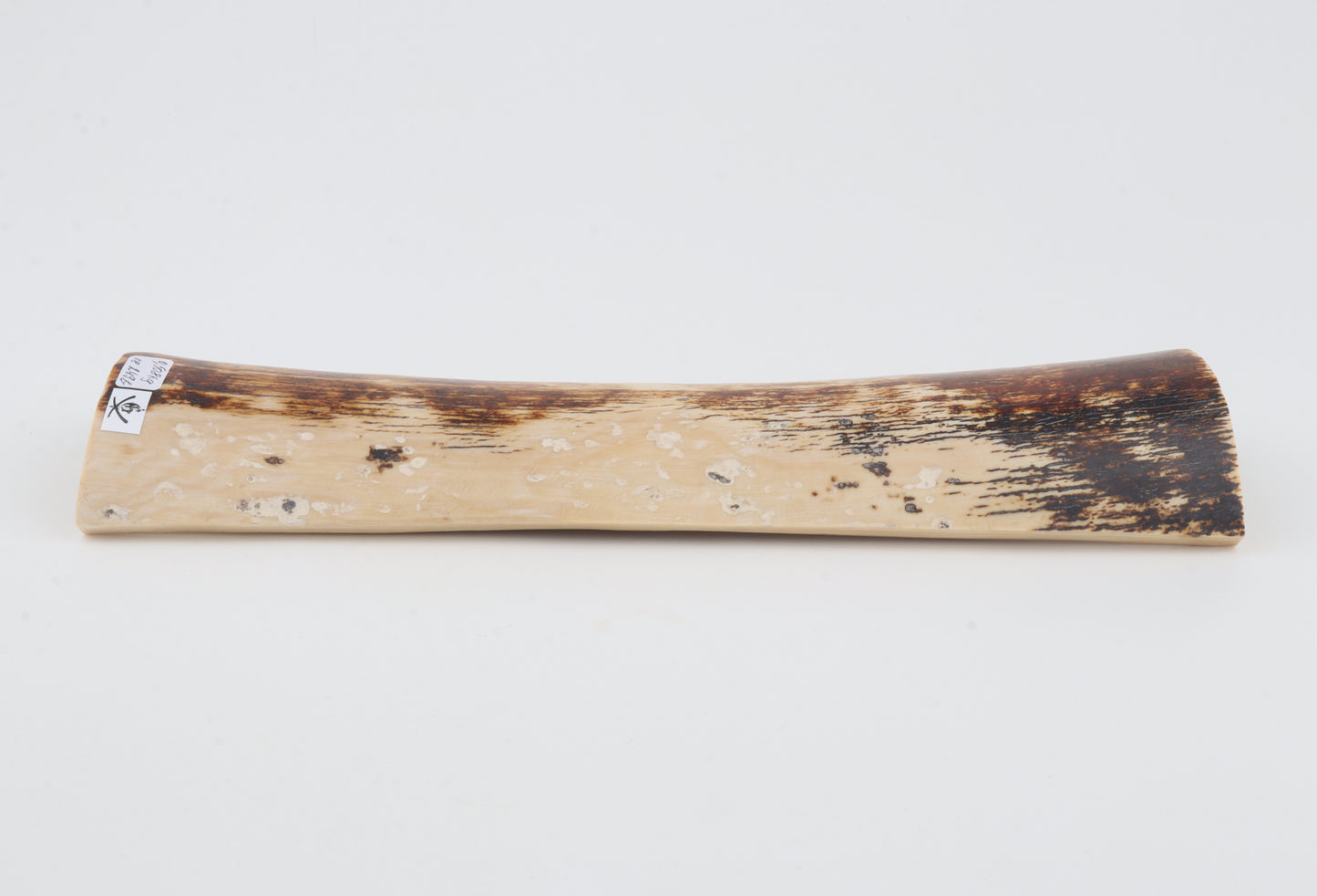 Brown-creme mammoth bark