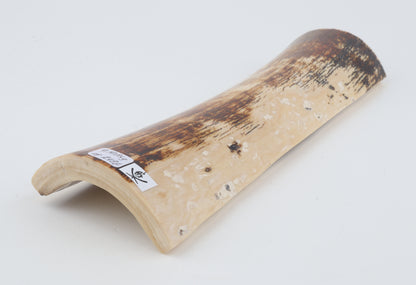 Brown-creme mammoth bark