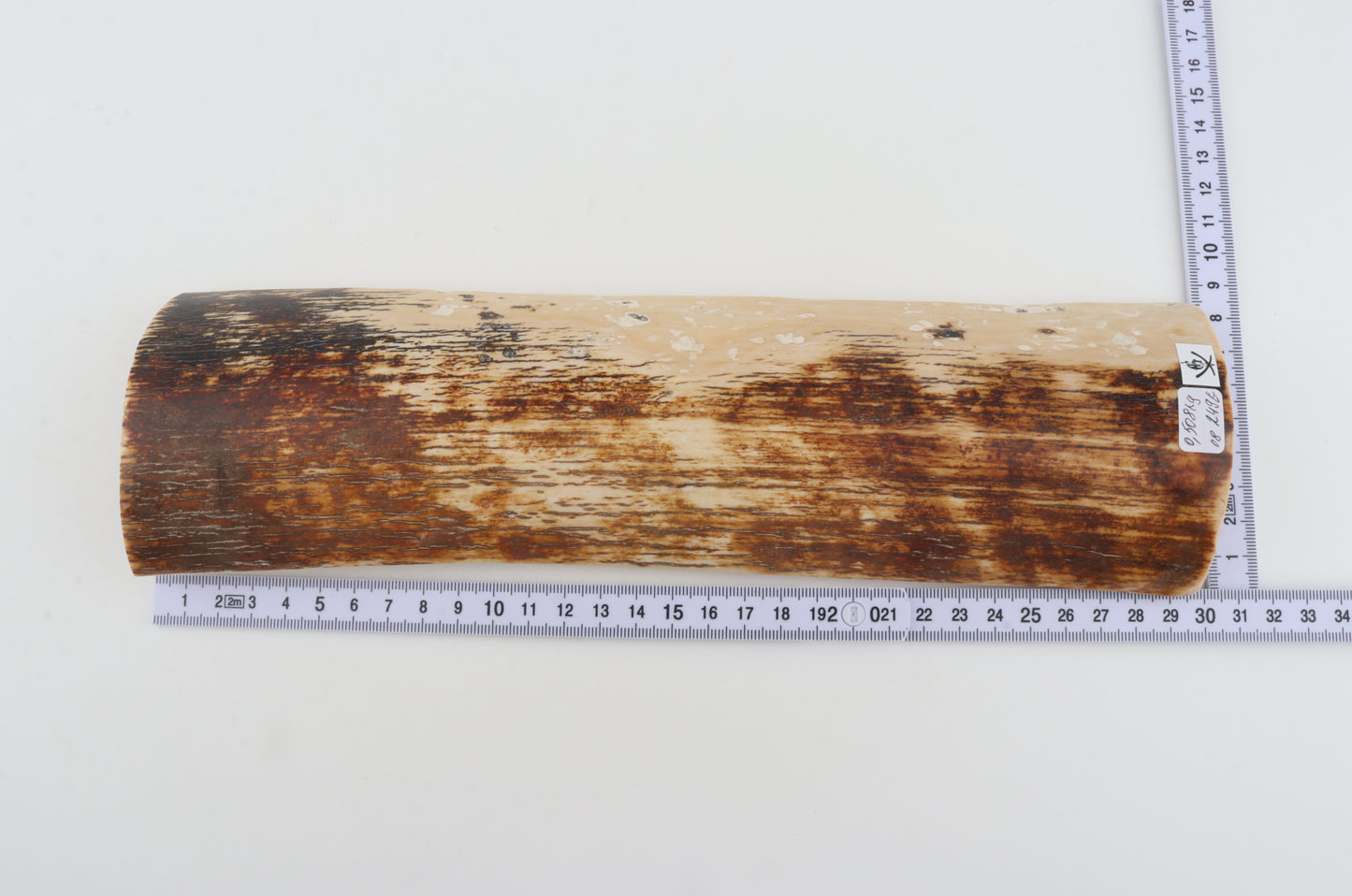 Brown-creme mammoth bark