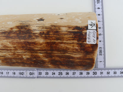 Brown-creme mammoth bark
