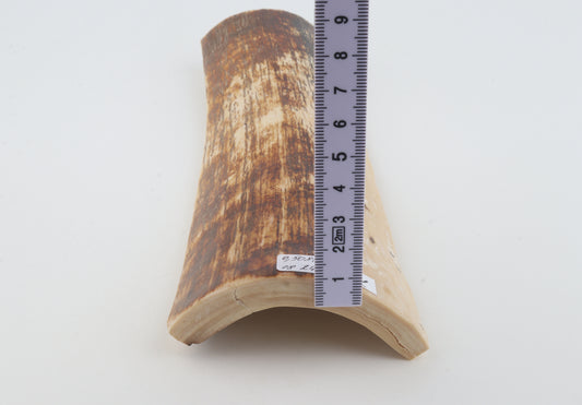 Brown-creme mammoth bark