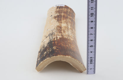 Brown-creme mammoth bark