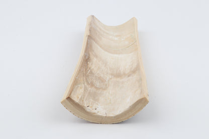 Brown-creme mammoth bark