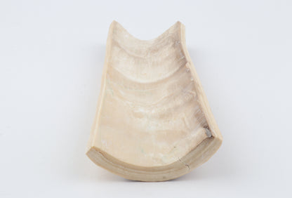 Brown-creme mammoth bark