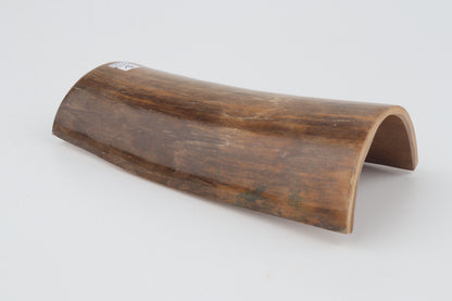 Brown mammoth bark
