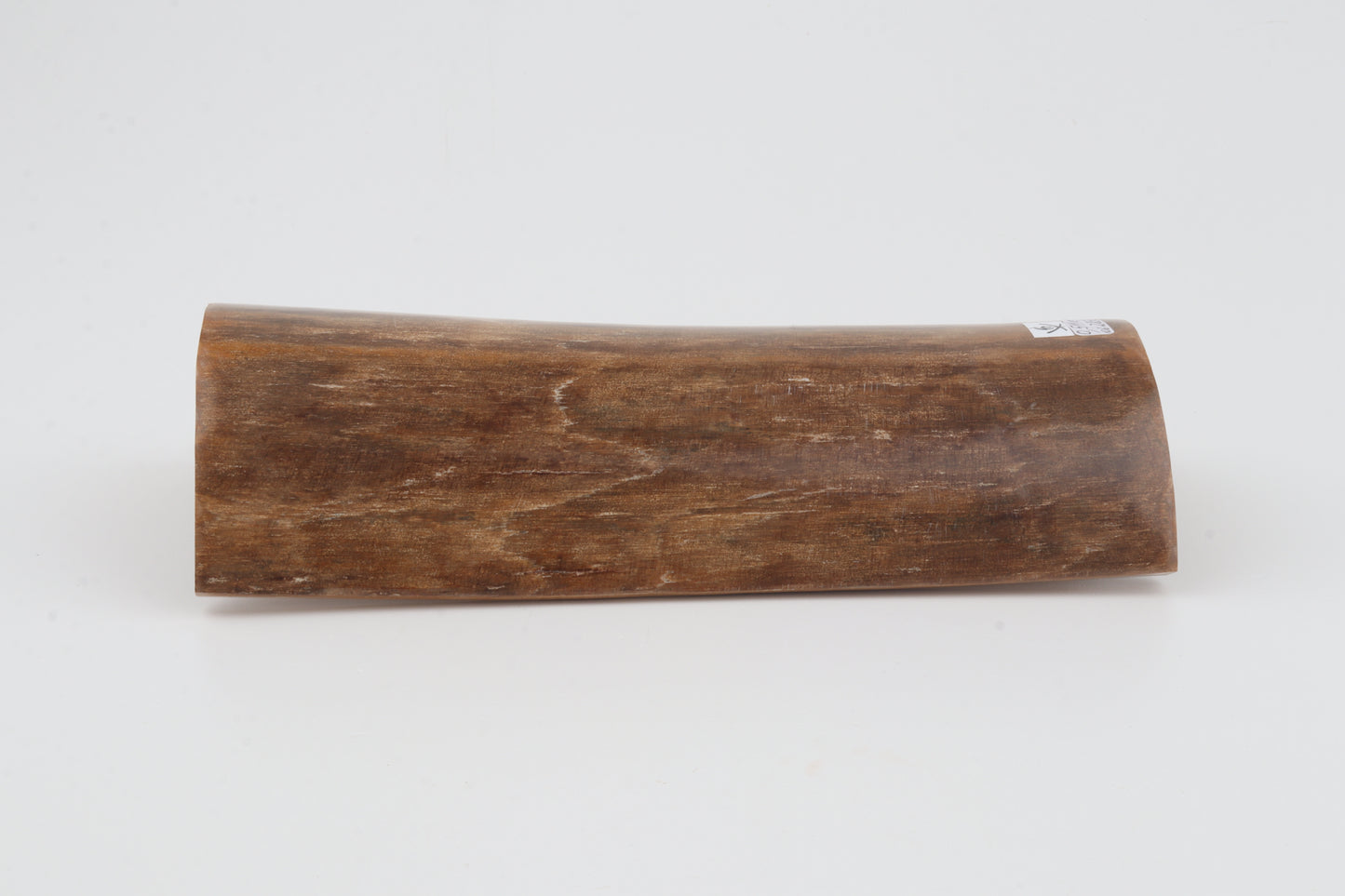 Brown mammoth bark