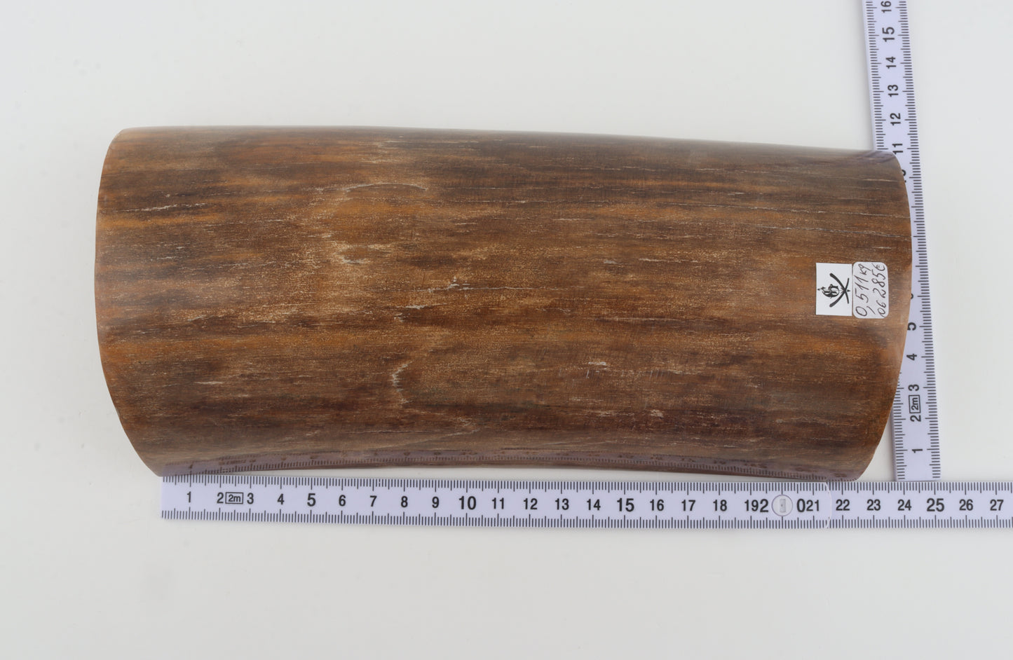 Brown mammoth bark