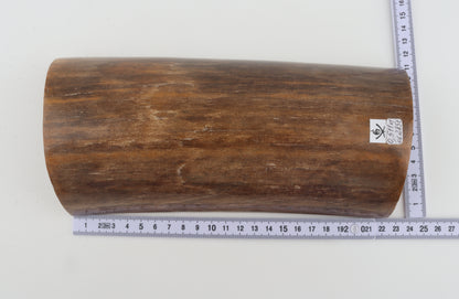 Brown mammoth bark