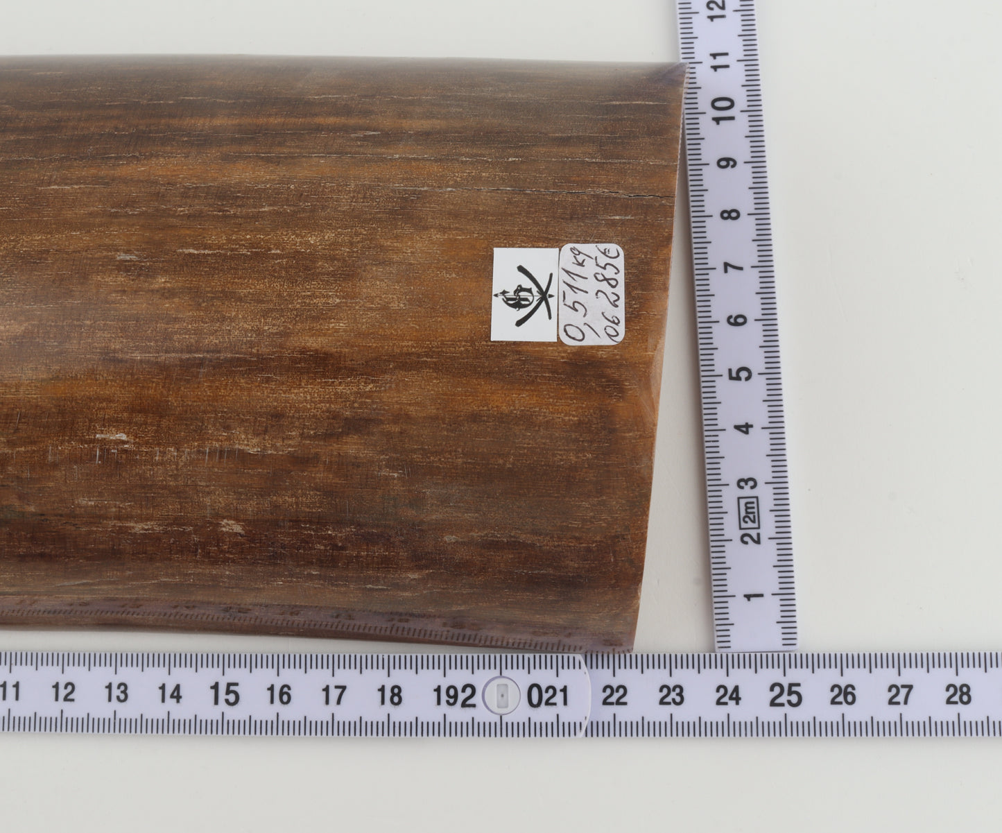 Brown mammoth bark
