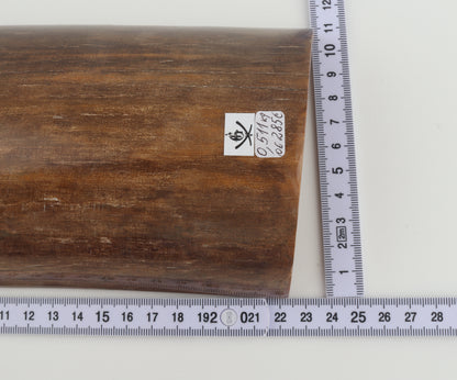 Brown mammoth bark