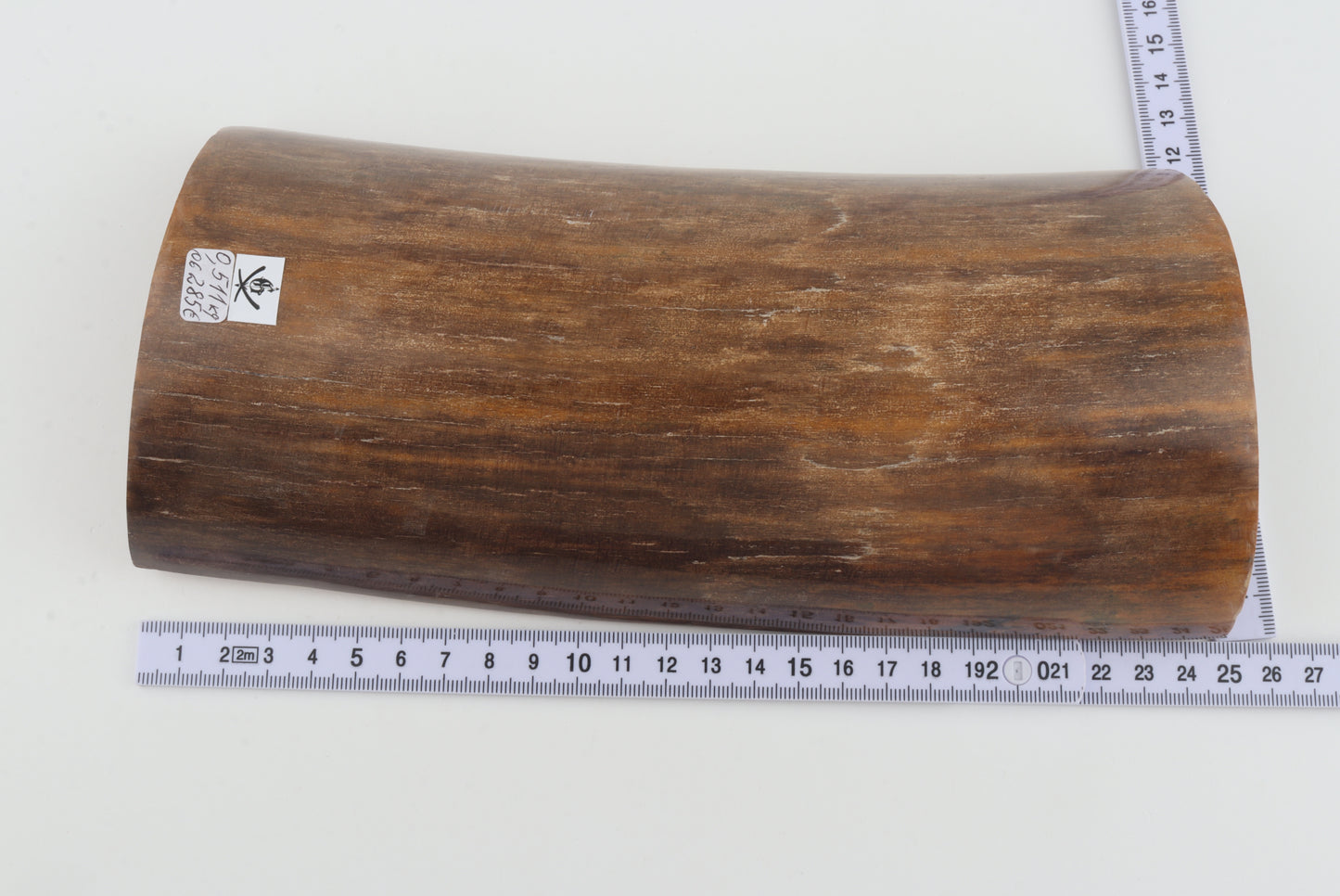 Brown mammoth bark