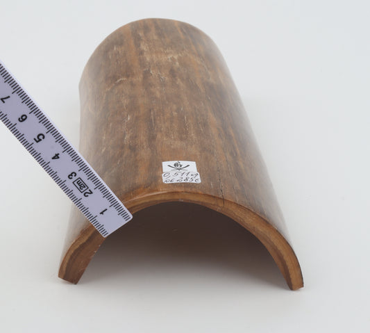 Brown mammoth bark