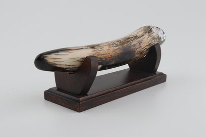 Restored woolly mammoth tusk tip