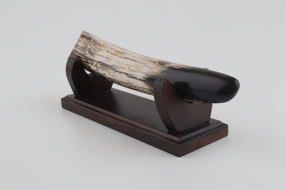 Restored woolly mammoth tusk tip