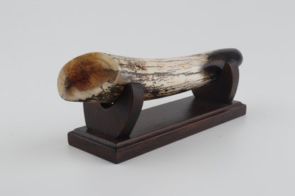 Restored woolly mammoth tusk tip