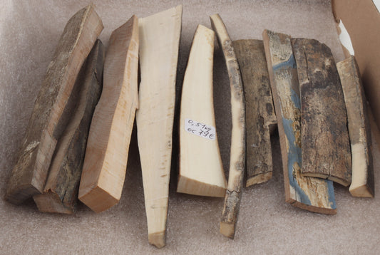 Raw mammoth ivory pieces