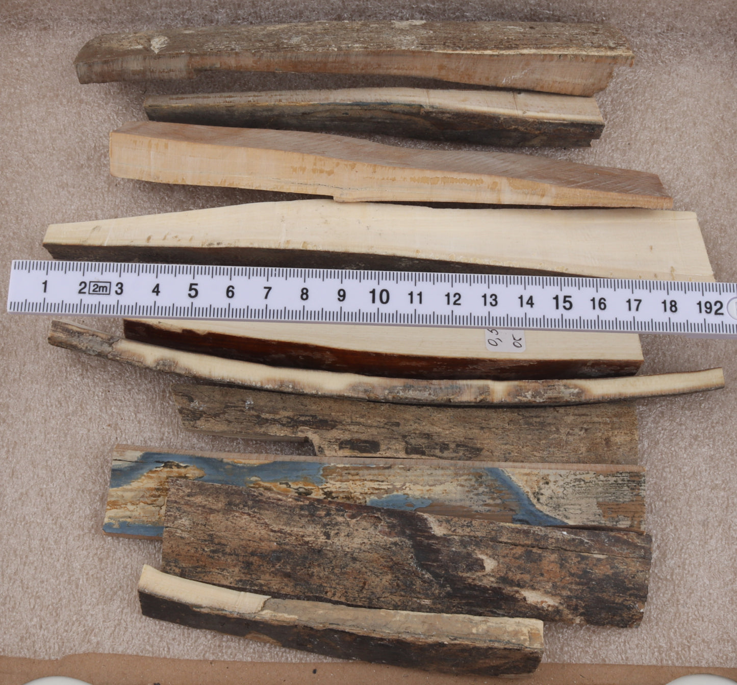 Raw mammoth ivory pieces