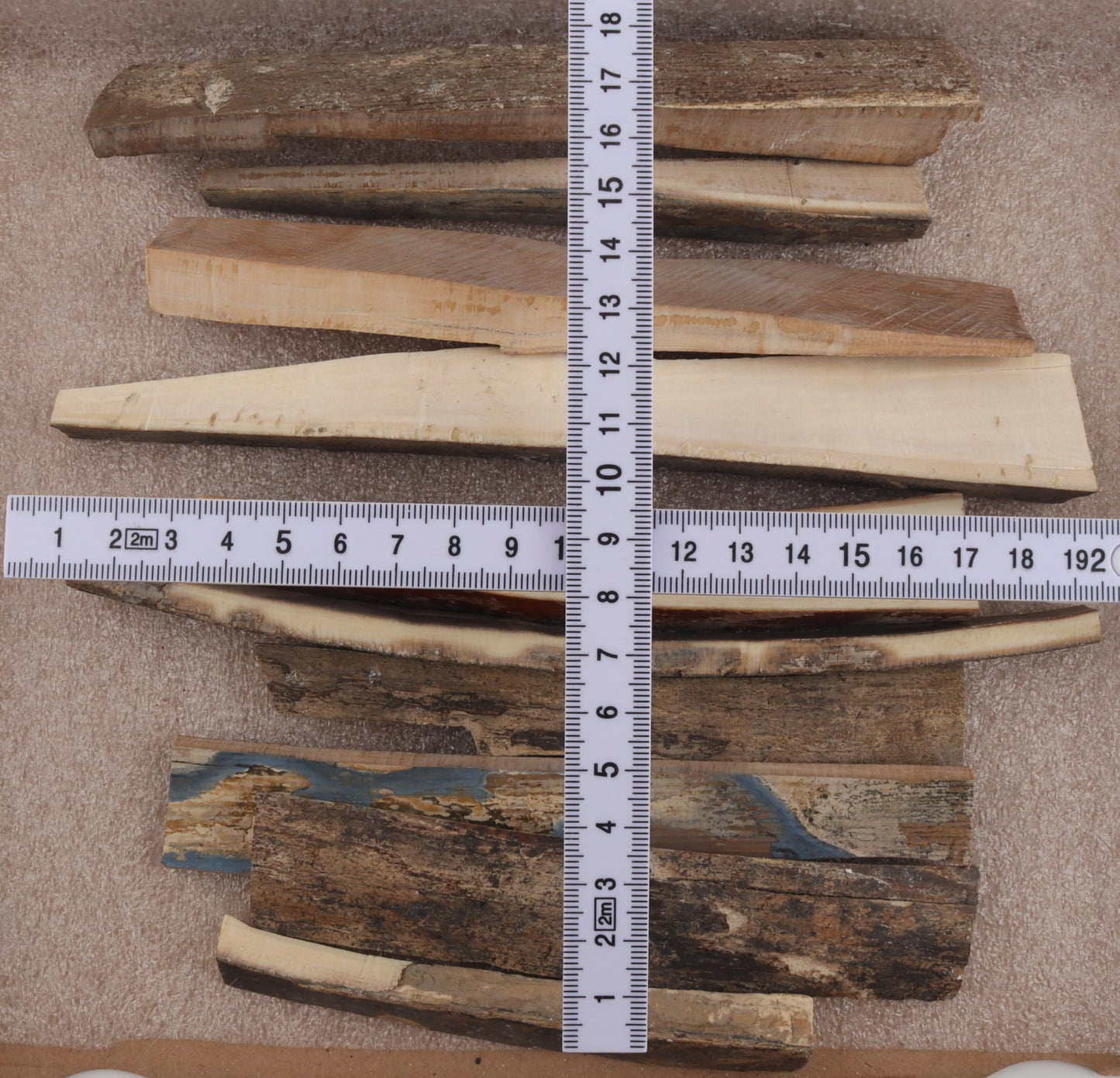 Raw mammoth ivory pieces