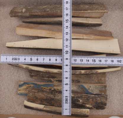 Raw mammoth ivory pieces