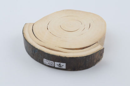 Round mammoth ivory piece