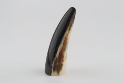 Restored woolly mammoth tusk tip
