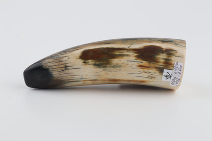 Restored woolly mammoth tusk tip