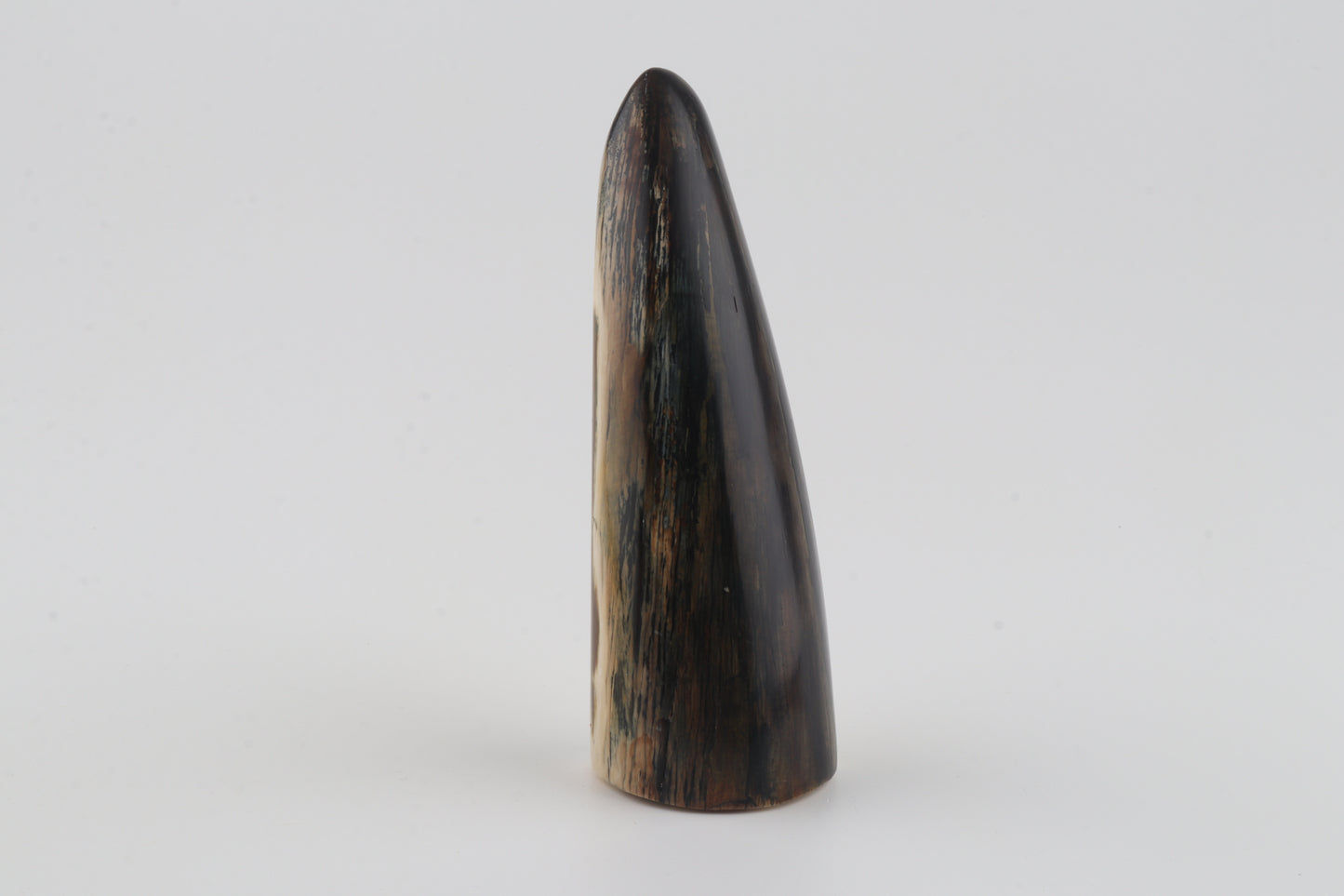 Restored woolly mammoth tusk tip