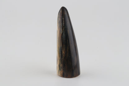 Restored woolly mammoth tusk tip