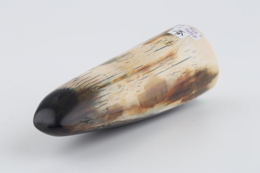 Restored woolly mammoth tusk tip