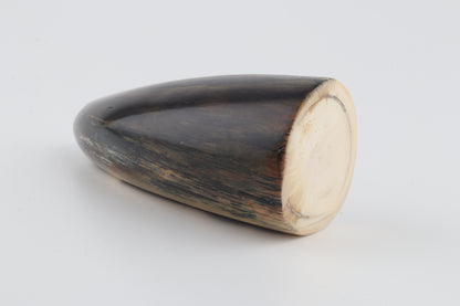 Restored woolly mammoth tusk tip