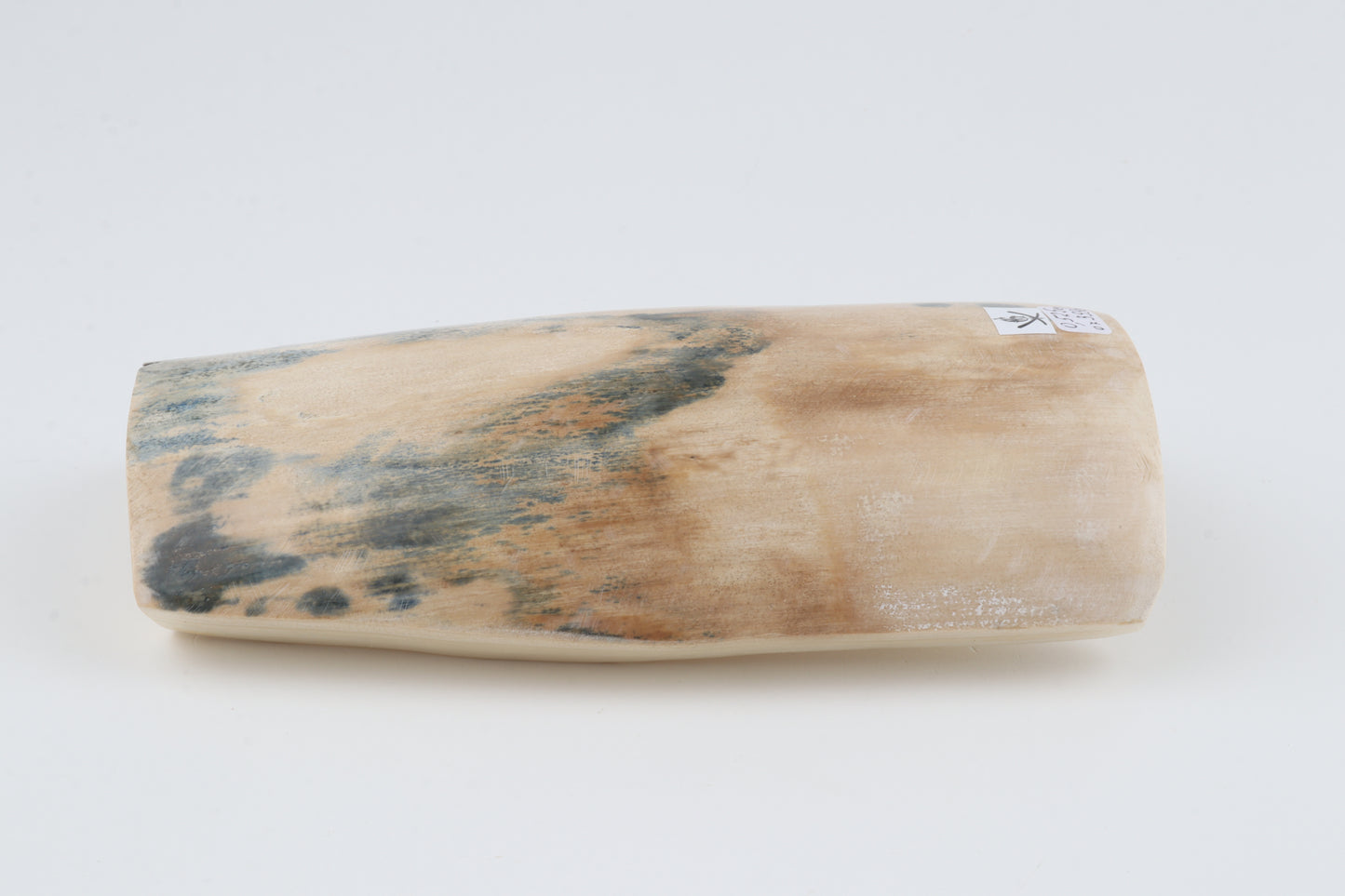 White-blue mammoth bark