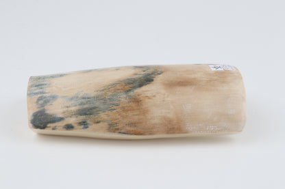 White-blue mammoth bark