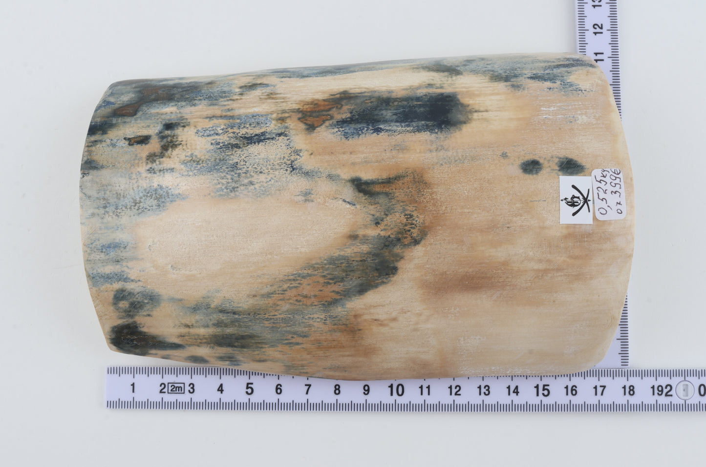 White-blue mammoth bark