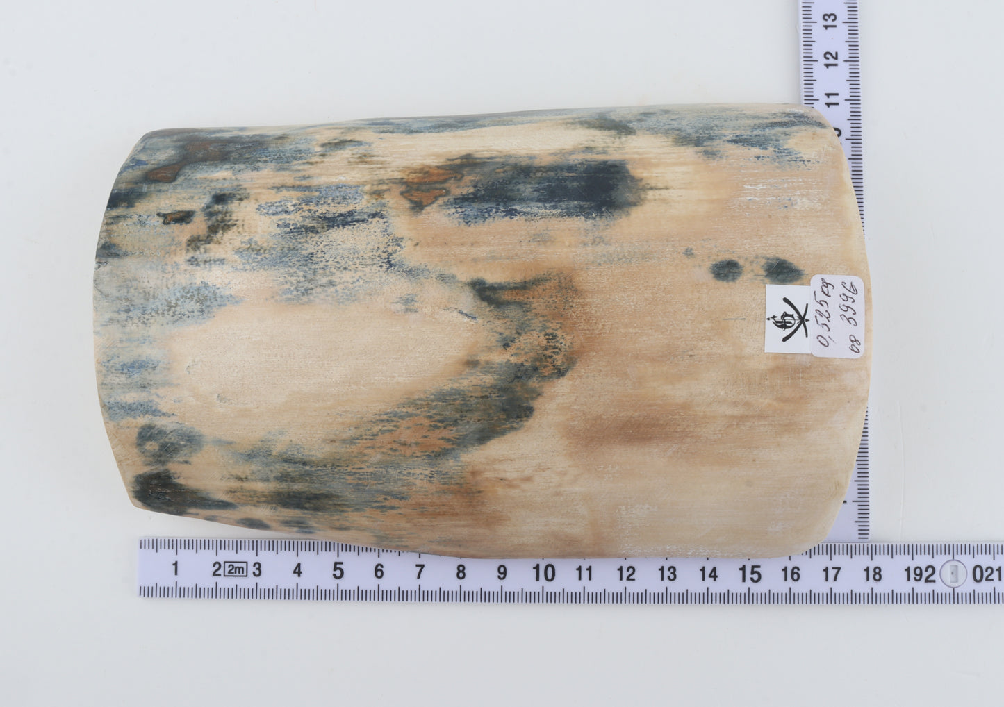 Blue-creme mammoth bark