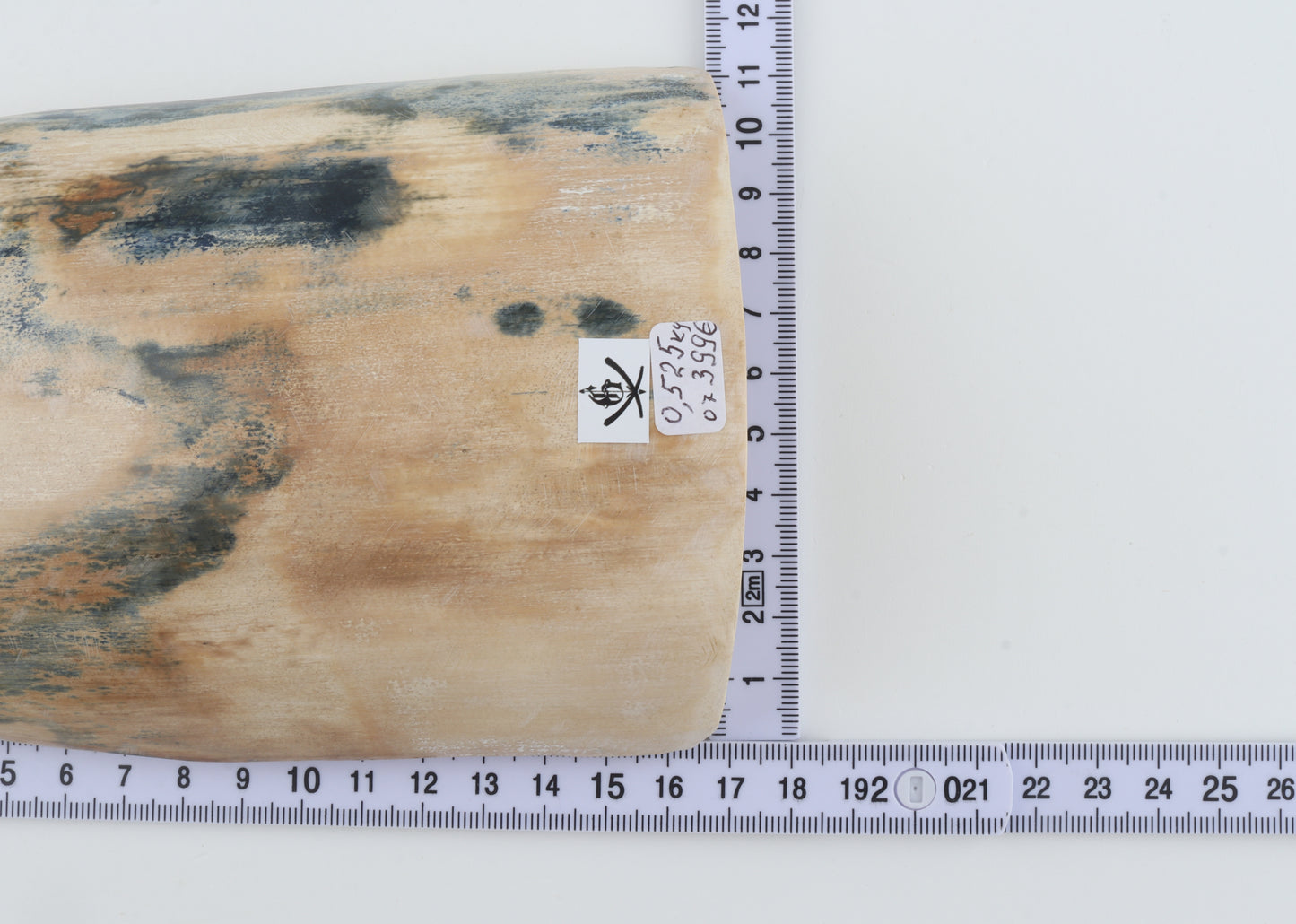 White-blue mammoth bark