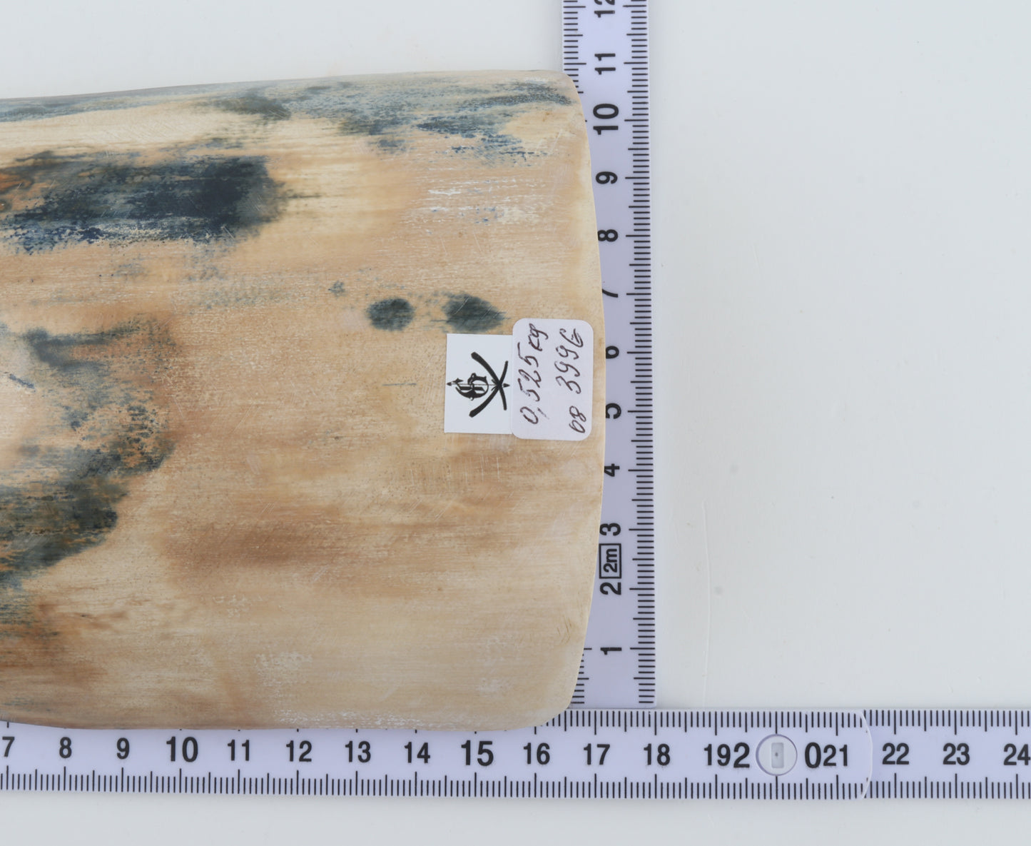 Blue-creme mammoth bark