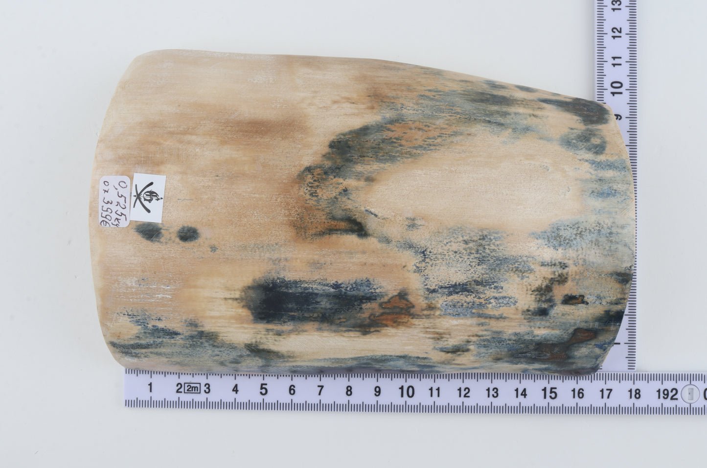 White-blue mammoth bark